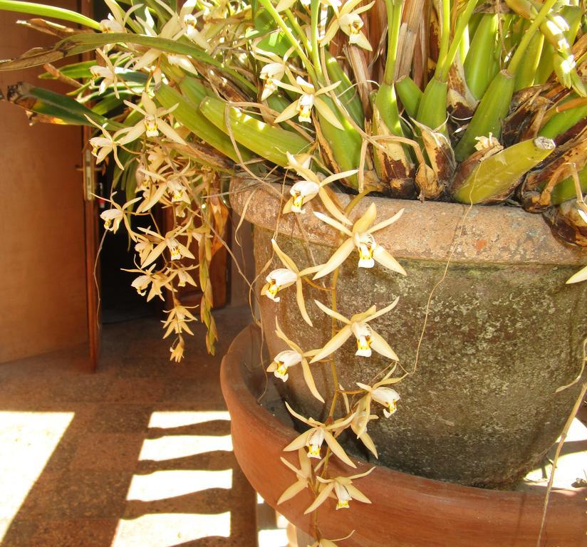 Meva Guesthouse Tananarive Extérieur photo